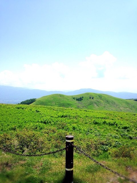 o0480064013347937796