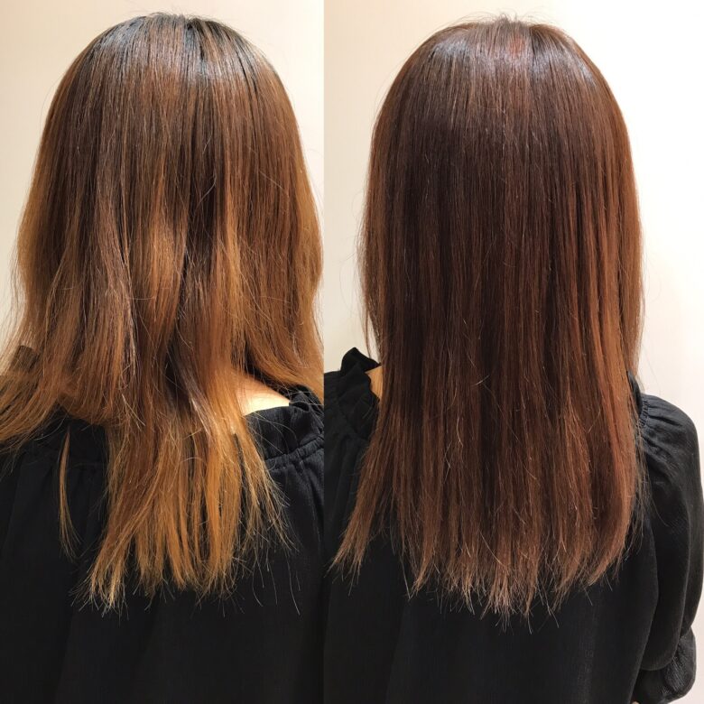 モデルカット
