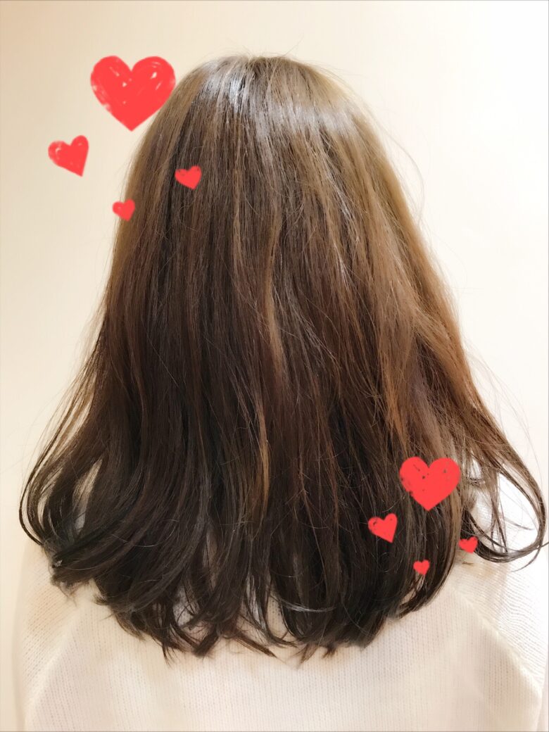 モデルカット