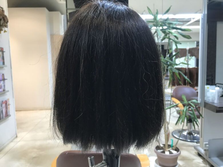 遂に、カット練習に入りました✂︎